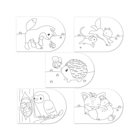 Libro da colorare Forest Friends