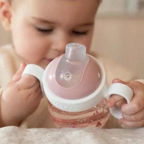 Borraccia con beccuccio 200 ml Fairy Garden