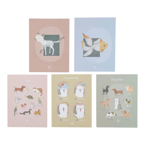 Banco da veterinario