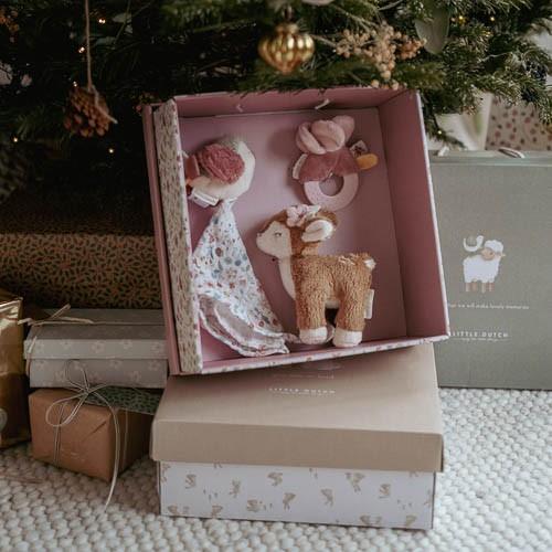 Scatola regalo Fairy Garden