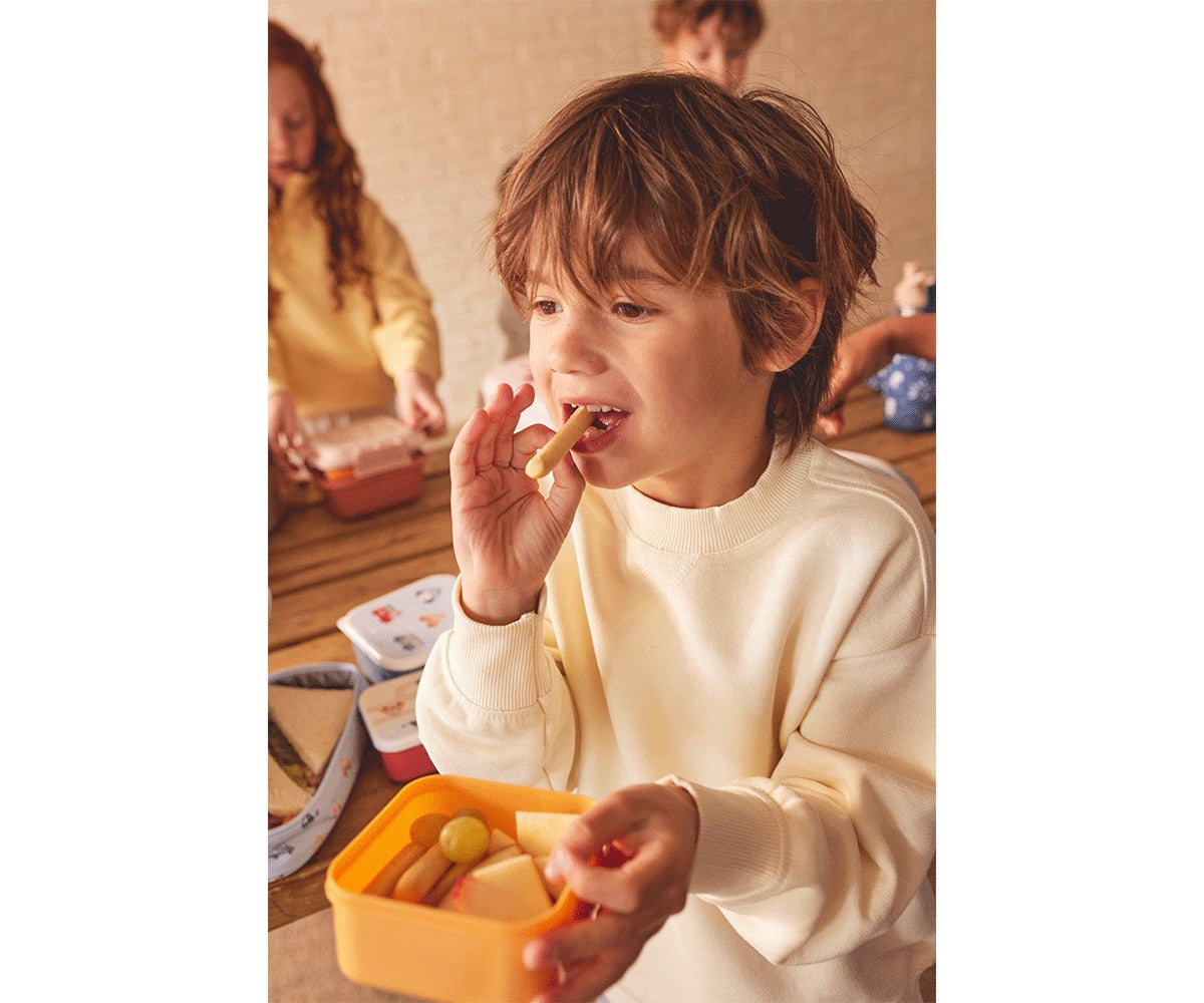 3 Scatoline Snack Tutete City Cars