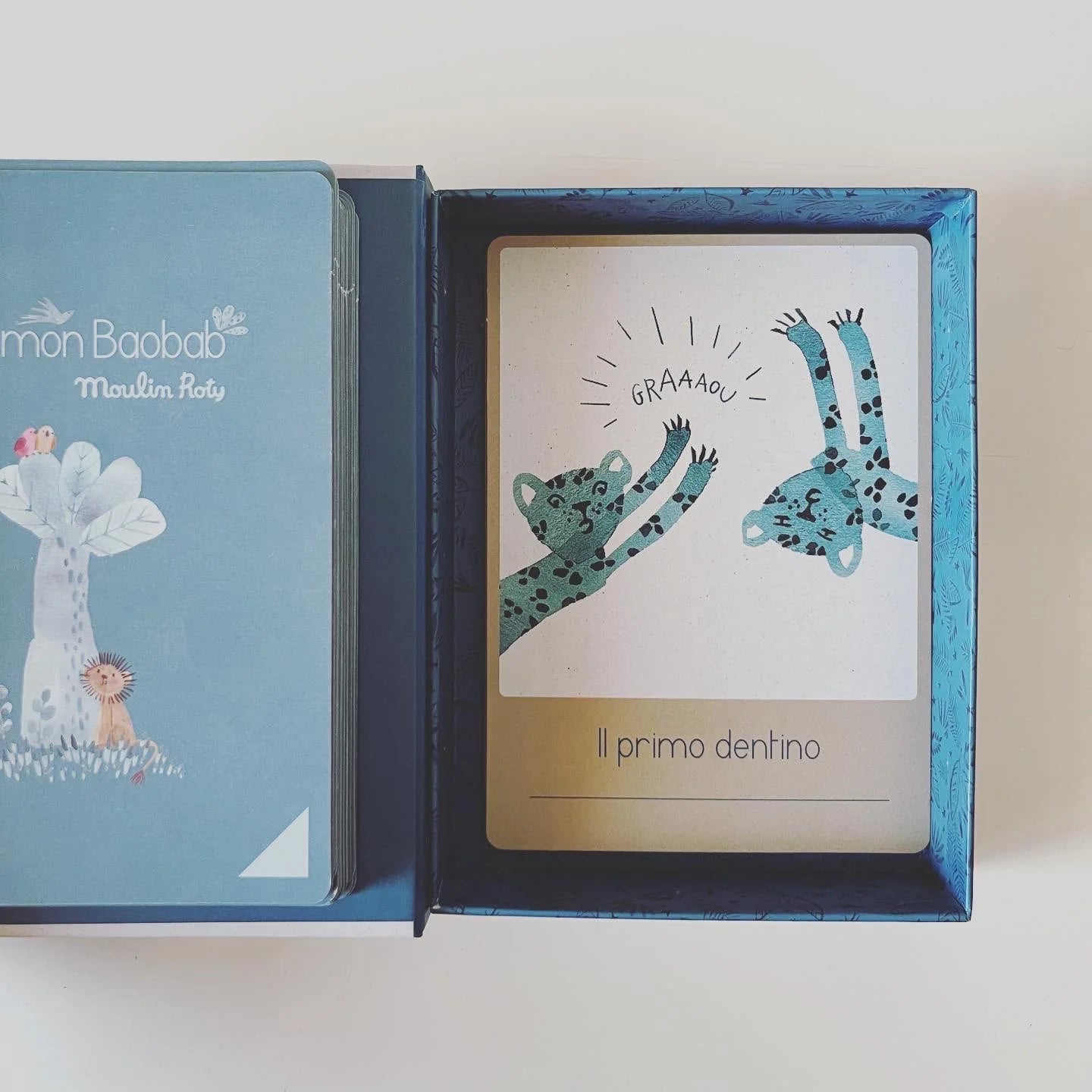 Carte "I miei primi 12 mesi"