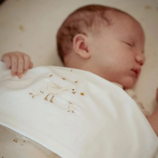 Lenzuolo 70x100 Little Goose