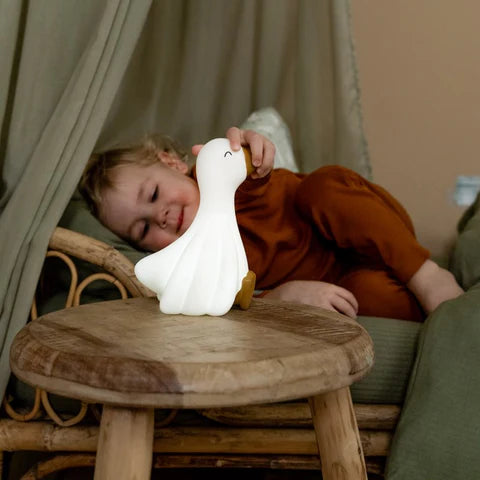 Luce da notte Little Goose