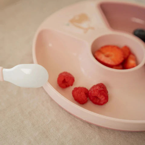 Piatto con divisori Fairy Garden