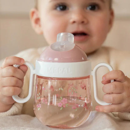 Borraccia con beccuccio 200 ml Fairy Garden