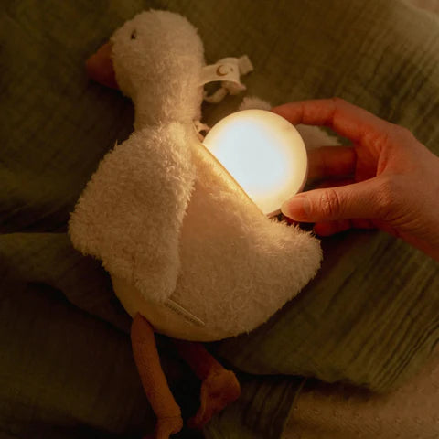 Luce notturna con suoni Baby Goose