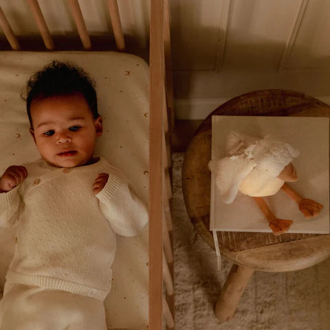 Luce notturna con suoni Baby Goose