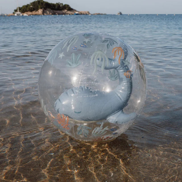 Palla gonfiabile 3D