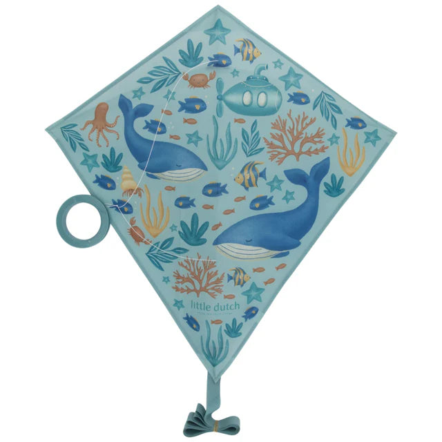 Aquilone Ocean