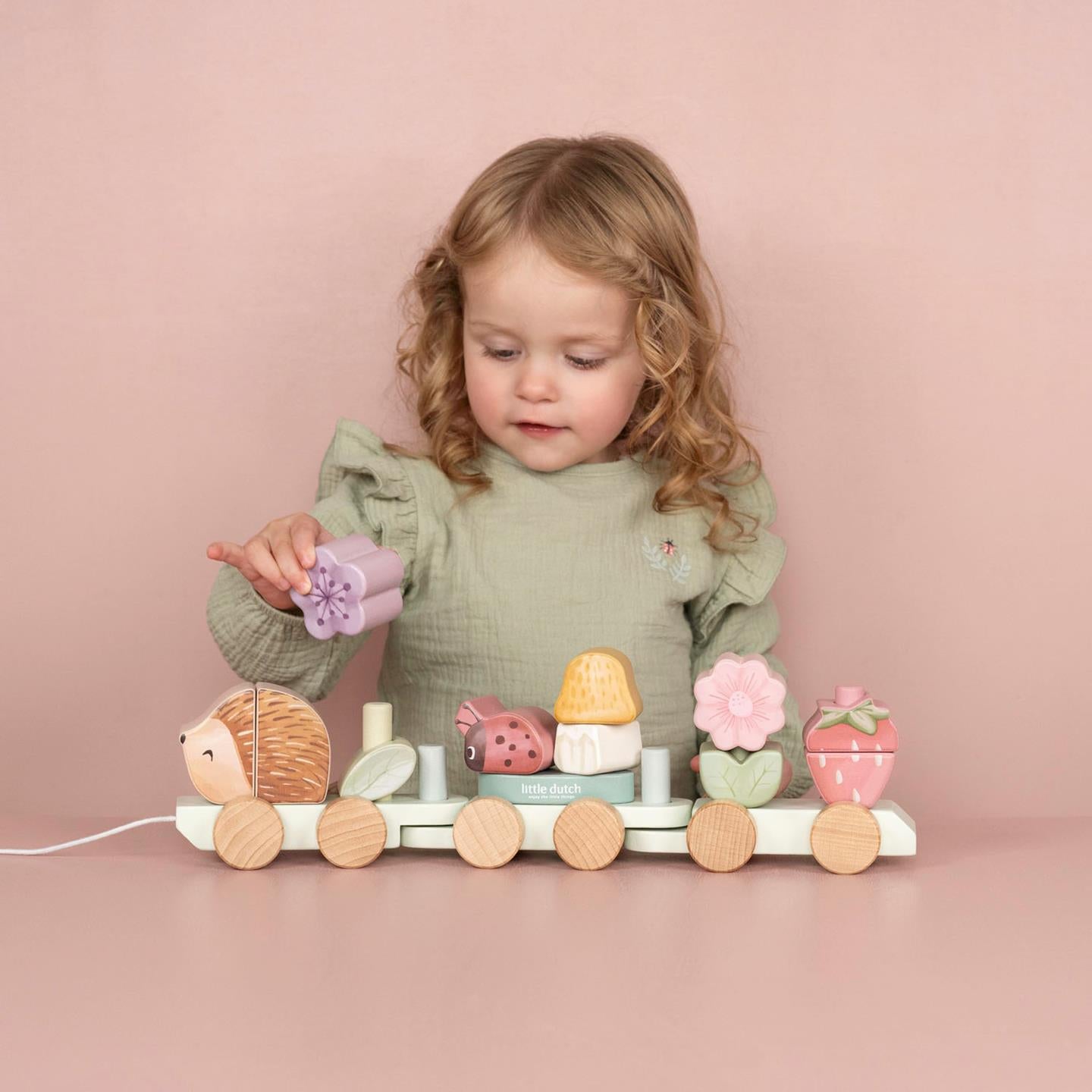 Trenino costruzioni Fairy Garden