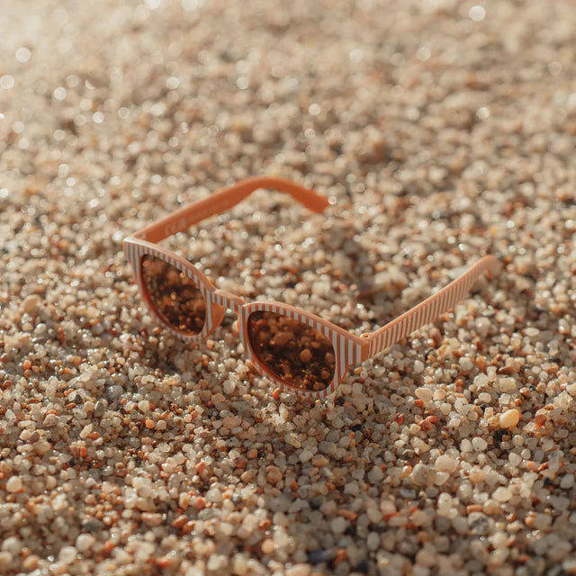 Occhiali da sole Ocean Brown