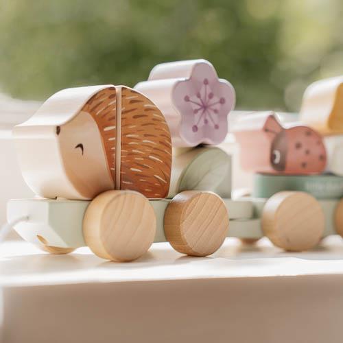 Trenino costruzioni Fairy Garden