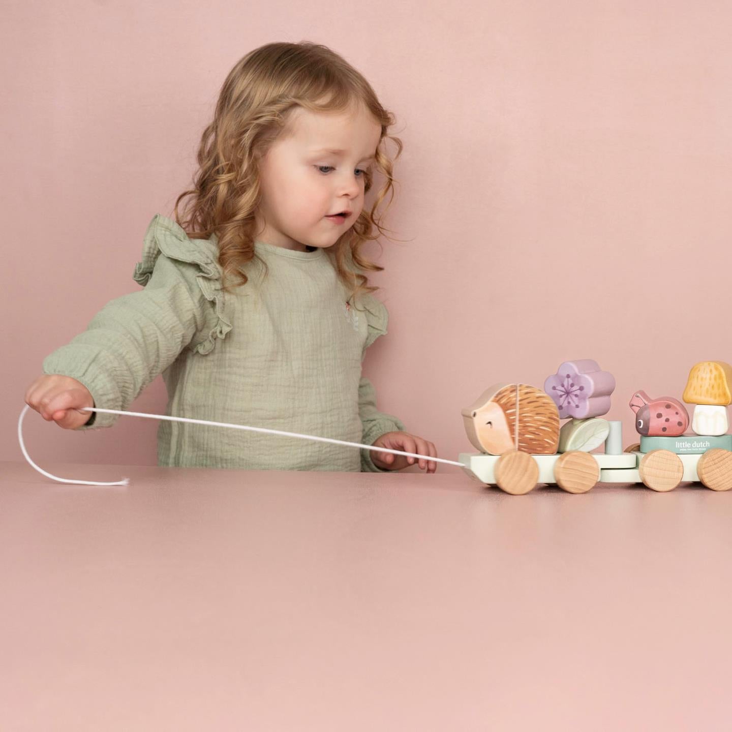 Trenino costruzioni Fairy Garden