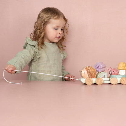Trenino costruzioni Fairy Garden