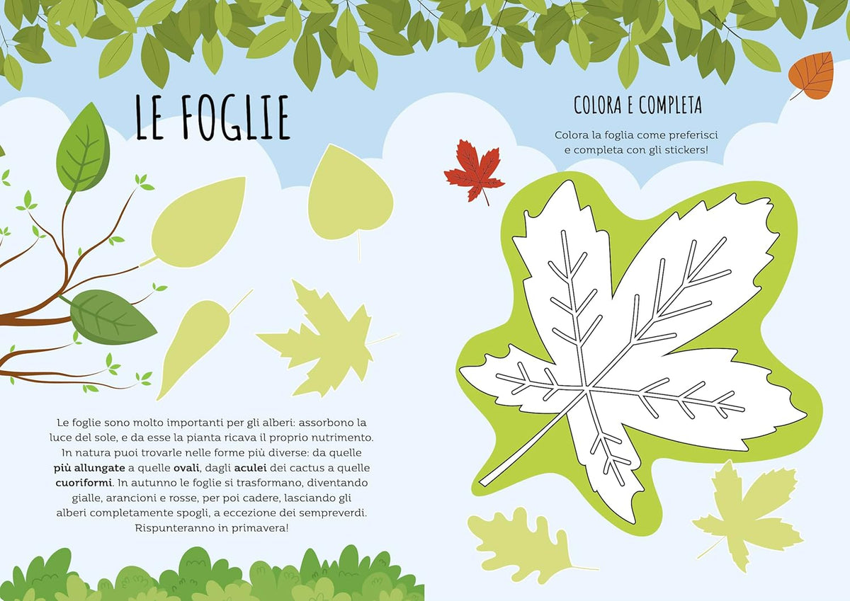 Stickers e attività. La Natura