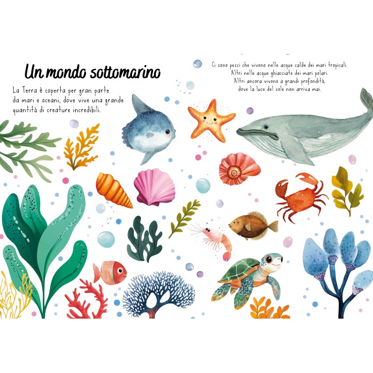 Magico puzzle ad acqua - IL MARE